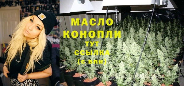 spice Богородицк