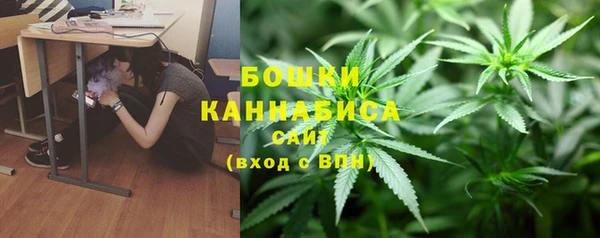 индика Дмитровск