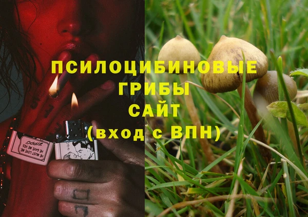 тгк Беломорск