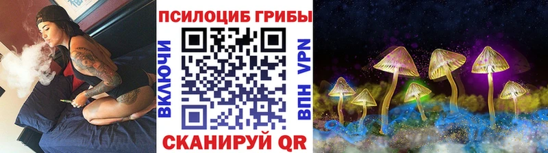 Псилоцибиновые грибы Magic Shrooms  мега онион  Нарьян-Мар  цена наркотик 